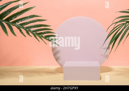 Présentation artistique avec un podium ou une scène rectangulaire rose pastel et une assiette ronde entre les feuilles vertes sur fond rose Banque D'Images