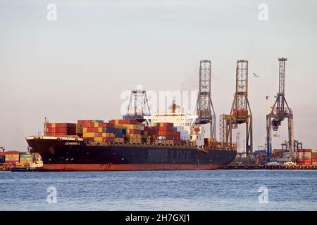 Le bateau à conteneurs Catherine C se quai au port de Felixstowe, Suffolk, Royaume-Uni, assisté par les remorqueurs Svitzer Shotley et Svitzer Deben. Banque D'Images