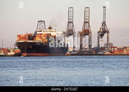 Le bateau à conteneurs Catherine C se quai au port de Felixstowe, Suffolk, Royaume-Uni, assisté par les remorqueurs Svitzer Shotley et Svitzer Deben. Banque D'Images