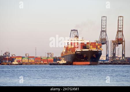 Le bateau à conteneurs Catherine C se quai au port de Felixstowe, Suffolk, Royaume-Uni, assisté par les remorqueurs Svitzer Shotley et Svitzer Deben. Banque D'Images