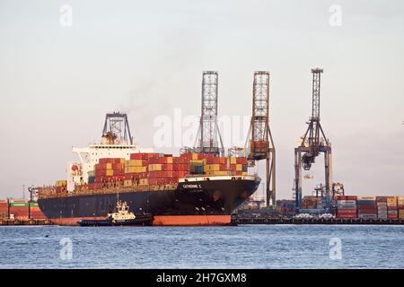 Le bateau à conteneurs Catherine C se quai au port de Felixstowe, Suffolk, Royaume-Uni, assisté par les remorqueurs Svitzer Shotley et Svitzer Deben. Banque D'Images