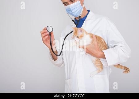 vétérinaire mâle caucasien avec un stéthoscope à la main tenant un chat Banque D'Images