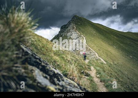 Femme avec sac à dos pour chien sur le Klomnockweg en direction du nord, entre Mallnock et Klomnock avec une vue sur le Klomnock, Nockberge Biosphere Park, Carinthe Banque D'Images