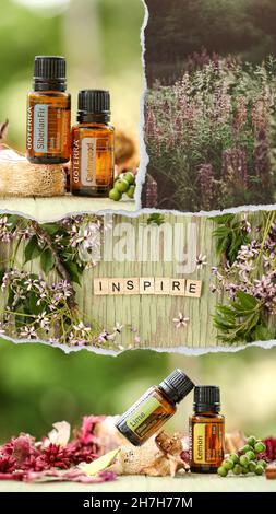 PYRAMID HILL, AUSTRALIE - 10 août 2021 : image éditoriale des huiles essentielles de Dexterra Banque D'Images