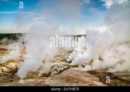 Geysers at Porcelain Basin, Norris Geyser Basin, Yellowstone National Park, Wyoming, USA Banque D'Images