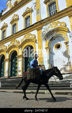 BRÉSIL, ETAT DE BAHIA, CACHOEIRA, BRÉSILIEN SUR SA MULE Banque D'Images