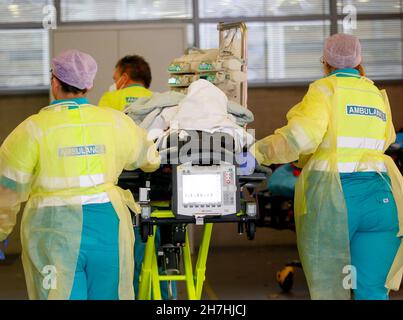 23 novembre 2021, Rhénanie-du-Nord-Westphalie, Bochum: L'équipage d'une ambulance hollandaise amène un patient Covid 19 de Rotterdam à l'hôpital universitaire BG de Bochum.Le patient avait été traité dans l'unité de soins intensifs de Rotterdam.Photo: Roland Weihrauch/dpa Banque D'Images