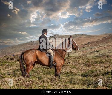 huntsman sur un cheval, Dartmoor Banque D'Images