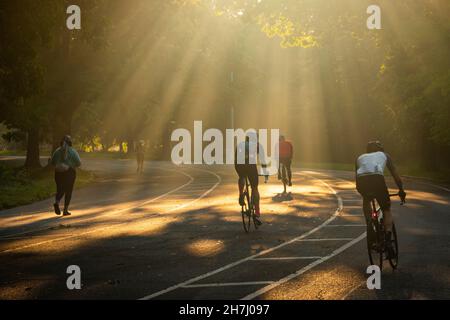 Le matin, la lumière du soleil se diffuse dans les arbres et fait de l'exercice à Prospect Park Brooklyn, New York Banque D'Images