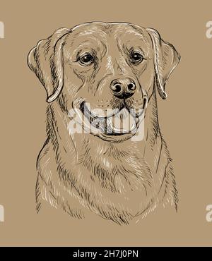 Tête réaliste de labrador Retriever chien vecteur dessin à la main illustration isolée sur fond marron.Pour la décoration, les pages de livre de coloriage, le design, p Illustration de Vecteur