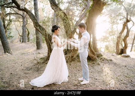 Marié met l'anneau de mariage sur le doigt de la mariée parmi les arbres dans l'oliveraie Banque D'Images