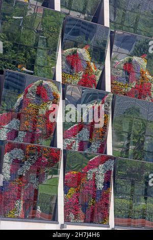 Réflexions du chiot de fleur dans les façades en face du musée Guggenheim, Bilbao, pays basque, Espagne Banque D'Images