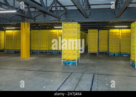 Rangées de stockage de robots, centre de distribution Amazon, Pennsylvanie, États-Unis Banque D'Images