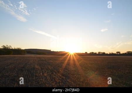 Lever du soleil et champs d'été sous ciel bleu, fond naturel Banque D'Images