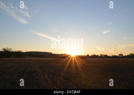 Lever du soleil et champ d'été, fond naturel ensoleillé Banque D'Images