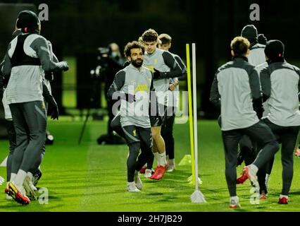 Kirkby, Liverpool, Angleterre ; 23 novembre 2021 ; AXA Training Center,Kirkby, Liverpool, Angleterre ; Liverpool FC s'entraîne avant le match de football de la Ligue des Champions contre le FC Porto le 24 novembre : Mohamed Salah de Liverpool crédit : action plus Sports Images/Alay Live News Banque D'Images