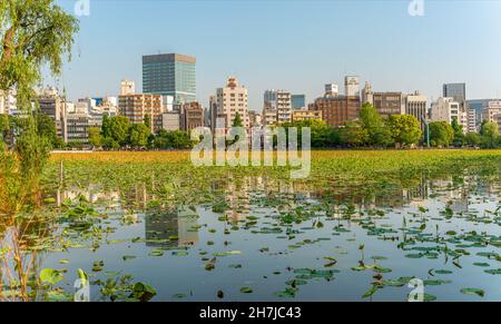 Shinobazu étang dans le parc Ueno, avec la ligne d'horizon Ueno en arrière-plan, Tokyo, Japon Banque D'Images