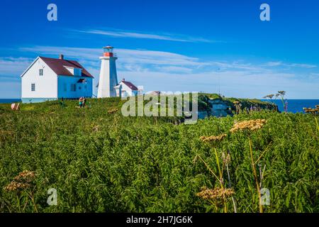 phare et maison de gardien de phare sur l'île aux Perroquets, une des îles de l'archipel Mingan dans la région Côte Nord du Québec (Canada) Banque D'Images