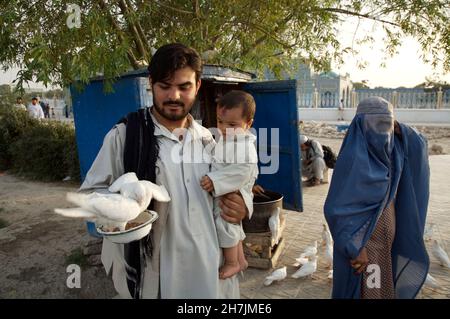 Un homme nourrissant des pigeons dans les locaux de la Mosquée bleue ou du sanctuaire de Hazrat Ali, à Mazar-e-Sharif, dans la province de Balkh, au nord.Le shri Banque D'Images