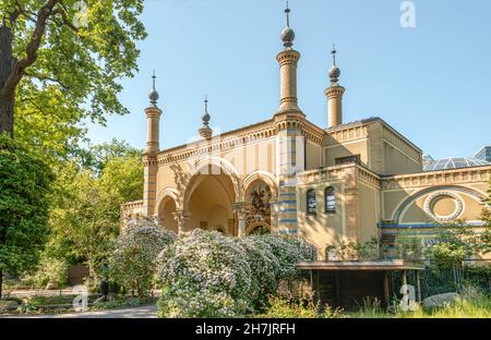 Maison antilope dans le zoo de Berlin, Allemagne Banque D'Images