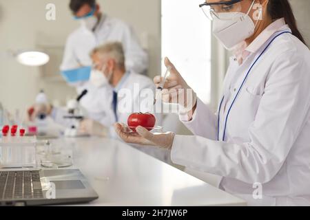 Un chercheur en génétique développe des tomates GM tout en travaillant dans un laboratoire alimentaire moderne Banque D'Images