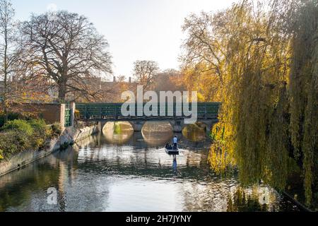 Cambridge, Cambridgeshire, Royaume-Uni – novembre 2021.Un piquant solitaire sur la section des dos de Cambridge de la River Cam.Prise de vue lors d'une journée d'automne Banque D'Images