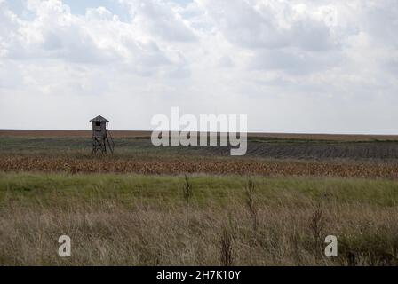 Tour de guet en bois n° 4 dans la réserve naturelle spéciale Deliblato Sands.Banat, Serbie. Banque D'Images