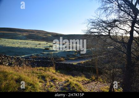 La campagne de calcaire des hautes terres du Yorkshire du Nord est mise en valeur par la lumière du soleil d'hiver tôt le matin. Banque D'Images