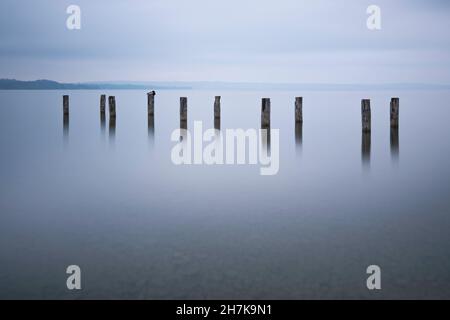 Vue sur le lac de Starnberg à l'aube, Starnberg, Bavière, Allemagne, Europe Banque D'Images