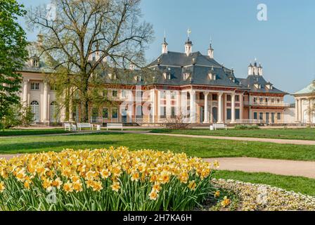 Palais aquatique dans le parc du palais de Pillnitz près de Dresde, Saxe, Allemagne Banque D'Images