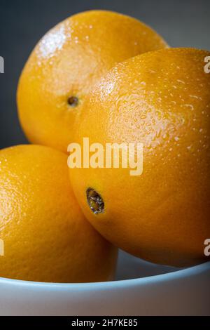 Helsinki / Finlande - gros plan d'oranges humides et fraîches sur fond de studio. Banque D'Images