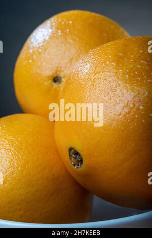 Helsinki / Finlande - gros plan d'oranges humides et fraîches sur fond de studio. Banque D'Images
