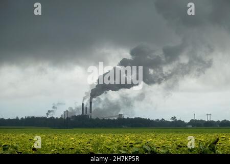 De Townsville à Mackay Highway, Queensland, Australie - novembre 2021 : un moulin à sucre situé au loin, qui entorche la fumée de ses cheminées dans l'atmosphère Banque D'Images