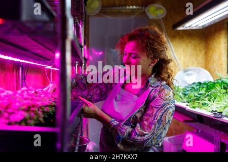 Femme souriante propriétaire coupant des plantes avec des ciseaux dans le restaurant Banque D'Images