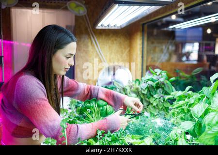 Femme entrepreneure souriante coupant des légumes à travers des ciseaux dans le restaurant Banque D'Images