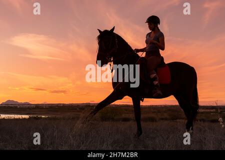 Jeune femme à cheval sur l'étalon au coucher du soleil Banque D'Images