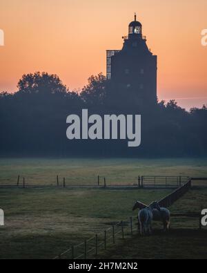 Allemagne, Hambourg, deux chevaux debout dans un enclos au crépuscule avec le phare de la Grande Tour Neuwerk en arrière-plan Banque D'Images