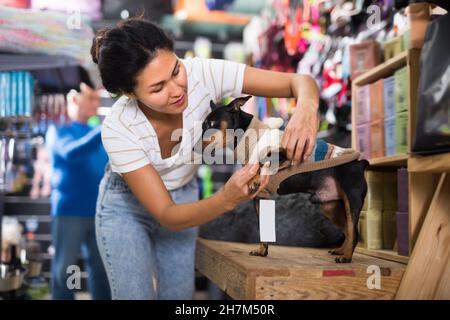 Femme habillant son chien dans la boutique d'animaux Banque D'Images