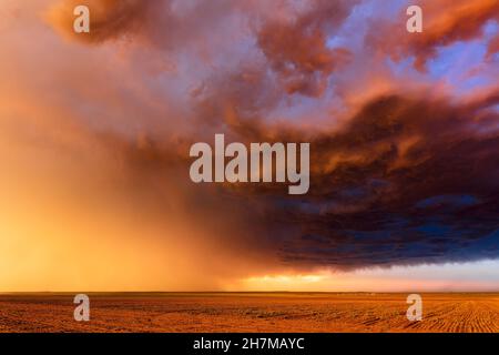 Ciel orageux au coucher du soleil avec des nuages spectaculaires au-dessus d'un champ de ferme dans le Colorado Banque D'Images