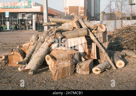 19 octobre 2021, Russie, Tomsk, bois de peuplier sur la rue Banque D'Images
