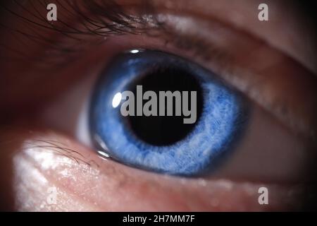 Gros plan de l'œil humain bleu vif Banque D'Images