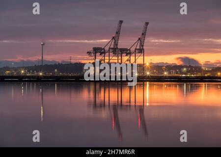 Ringaskiddy, Cork, Irlande.24 novembre 2021.Grues portiques silhouetées par la lumière de l'aube au nouveau terminal à conteneurs du port de Cork à Ringaskiddy, Co. Cork, Irlande.- crédit; David Creedon / Alamy Live News Banque D'Images