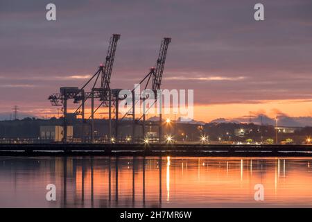 Ringaskiddy, Cork, Irlande.24 novembre 2021.Grues portiques silhouetées par la lumière de l'aube au nouveau terminal à conteneurs du port de Cork à Ringaskiddy, Co. Cork, Irlande.- crédit; David Creedon / Alamy Live News Banque D'Images