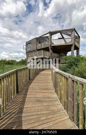 Passerelle en bois menant à l'observatoire 360, tour d'observation des oiseaux au Dyfi Wildlife Centre, Machynlleth, Powys, pays de Galles, Royaume-Uni Banque D'Images