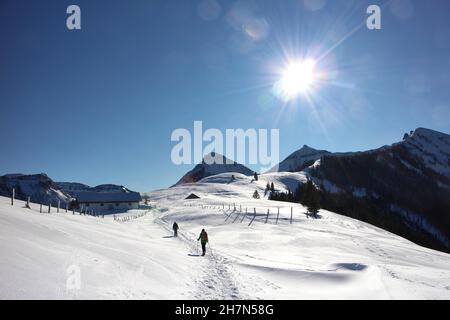 Excursion en raquettes dans le paysage de montagne de la région viticole par temps fantastique, Alm de Feichtenstein, vue sur Gennerhorn, Gruberhorn et Regenspitz, Hintersee Banque D'Images