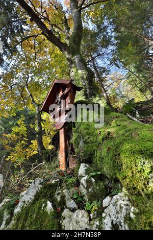 Croix du souvenir dans la forêt de montagne automnale, Hochgern, Alpes de Chiemgau, haute-Bavière, Bavière,Allemagne Banque D'Images