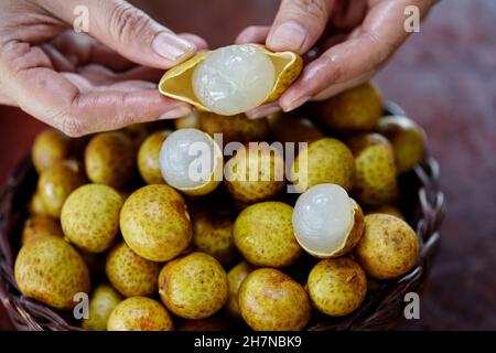 fruits de longan à éplucher à la main humaine dans un panier en osier Banque D'Images