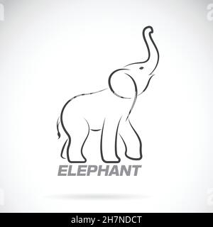 Vecteur d'un motif éléphant sur fond blanc.Logo Elephant. Illustration de Vecteur