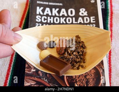 Bruchsal, Allemagne.24 novembre 2021.Dans l'exposition « Cocoa & Chocolate » du château de Bruchsal, différents morceaux de chocolat, un cacao en grain et des fèves de cacao écrasées sont exposés.Le spectacle peut être vu de 27.11.2021 à 27.02.2022.Credit: Uli Deck/dpa/Alay Live News Banque D'Images