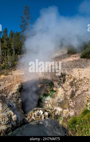 Dragons Mouth Spring, fumarole dans la zone thermale du volcan Mud du parc national de Yellowstone, Wyoming, États-Unis Banque D'Images